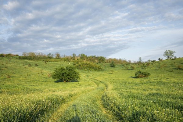Les cuisines à découvrir dans les destinations exotiques